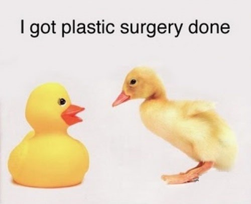 Ugly-Duckling.jpg
